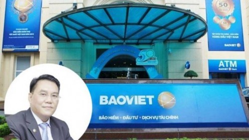 Bảo Việt của CEO Đỗ Trường Minh vướng "vận đen", "bỏ ngỏ" dự án đất vàng