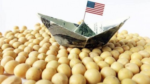 Bloomberg: Trung Quốc miễn áp thuế đối với một số đậu tương Mỹ nhập khẩu