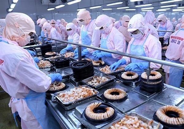 EVFTA: Đòn bẩy cho tôm Việt mở rộng thị phần tại EU