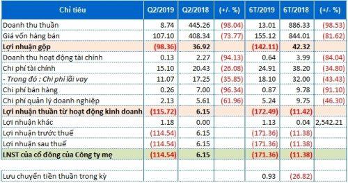 Thép Dana Ý liệu có là doanh nghiệp niêm yết lỗ lớn nhất trong quý II/2019?