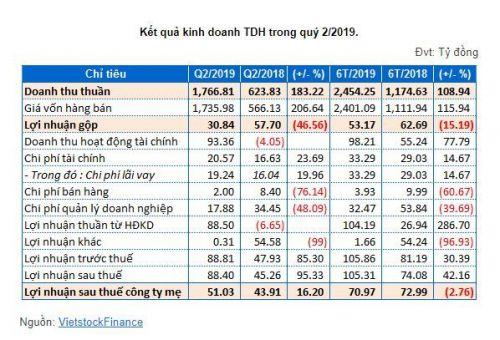 Nửa đầu 2019, TDH báo doanh thu tăng mạnh nhưng lãi ròng lại giảm
