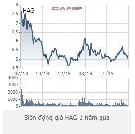 Cổ phiếu HAG thủng đáy 1 năm sau thông tin kết quả kinh doanh