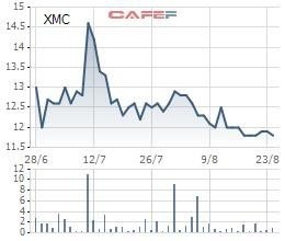 Xuân Mai Corp (XMC): Lãi ròng nửa đầu năm giảm mạnh 65%, nợ phải trả cao gấp 5 lần vốn
