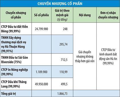 3.000 tỷ đồng mua đất vàng: Chờ Đất Xanh gọi vốn