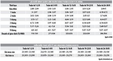 Số liệu thị trường tiền tệ tháng 8/2019