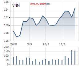 Khai mở thị trường Trung Quốc, cổ phiếu Vinamilk bất ngờ "sáng" nhất thị trường chứng khoán