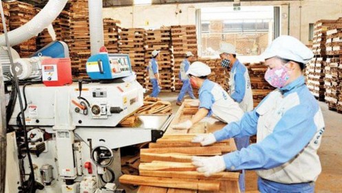 Lo ngại gỗ Việt bị Trung Quốc "mượn đường" xuất sang Mỹ