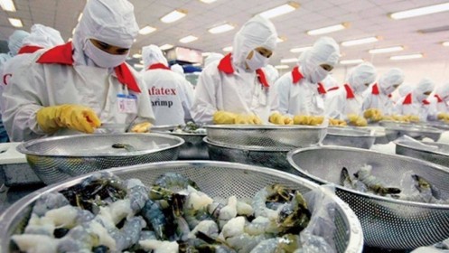Xuất khẩu tôm sang Trung Quốc quay đầu tăng trưởng