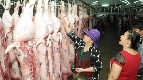 Nguồn cung ít, giá thịt lợn tăng 'chóng mặt' theo ngày