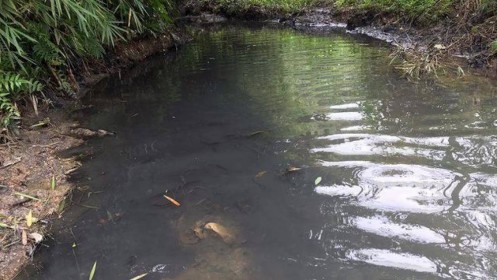 Bắt 2 đối tượng liên quan vụ đổ trộm dầu thải đầu nguồn sông Đà