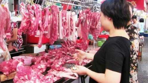 Nghệ An, Hà Tĩnh: Giá lợn hơi tăng mạnh