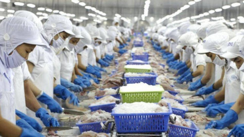 Cổ phiếu cần quan tâm ngày 25/10: PVD, VHC, GMD, PVT