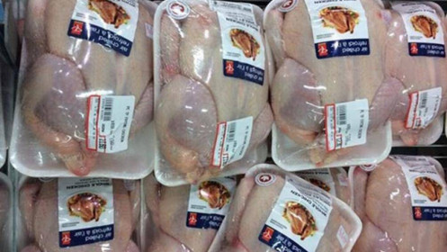Bộ Công Thương: Nhập khẩu không phải nguyên nhân gây giảm giá thịt gà tại Đông Nam Bộ
