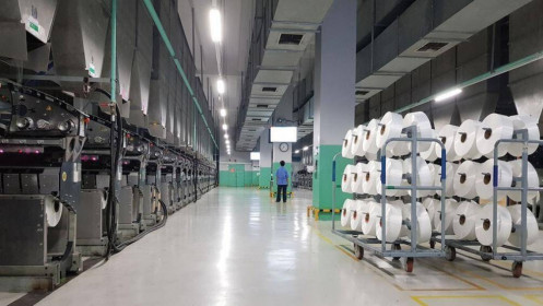 Cổ phiếu cần quan tâm ngày 31/10: MWG, STK, VRE, NT2, BMP, TLG