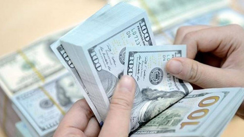Tỷ giá USD Vietcombank hôm nay 1/11 tăng 5 đồng