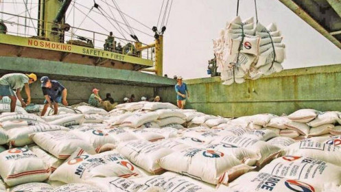 Doanh nghiệp Hong Kong (Trung Quốc) đến Cần Thơ tìm mua gạo