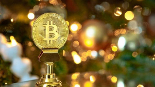 Bitcoin giảm giá thảm hại
