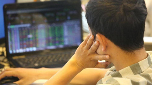 Chứng khoán ngày 25/11: Thiếu thông tin hỗ trợ, NĐT tập trung quản trị danh mục