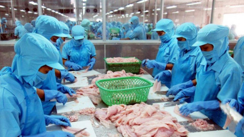 Cổ phiếu cần quan tâm ngày 28/11: VHC, L14, ACB, MWG, NVL, TCM,