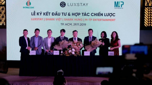 Vì sao Sơn Tùng M-TP quyết định rót vốn đầu tư vào Luxstay?