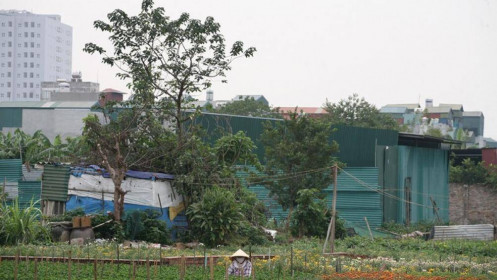 Hàng loạt công trình xây dựng trái phép trên đất nông nghiệp ở Khương Đình - Hà Nội?