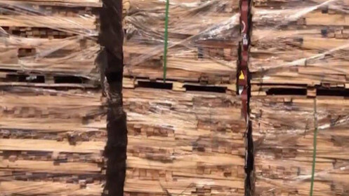 Thu giữ lô hàng gỗ xẻ trốn thuế trị giá 11 tỷ đồng ở TP.HCM