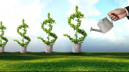 Chứng khoán ngày 12/12: Thời điểm thuận lợi để tích lũy cổ phiếu tốt