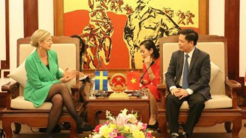 Thụy Điển đề xuất hỗ trợ Việt Nam gói tín dụng 1 tỷ USD phát triển hàng không