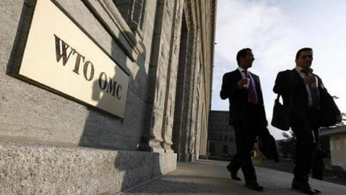 Thủ tục giải quyết khiếu nại của Hàn Quốc bị đình trệ do thiếu thẩm phán tại WTO
