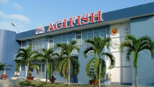 Agifish (AGF) buộc phải lãi nếu không muốn rời sàn