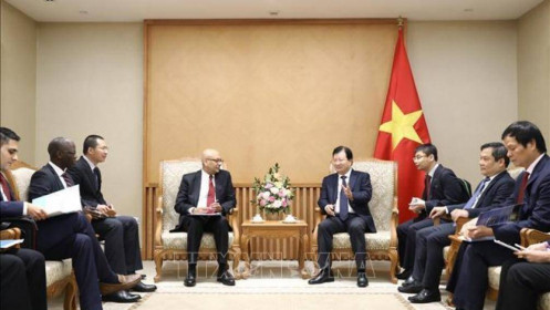 Thúc đẩy hợp tác giữa WB và Việt Nam trong phát triển năng lượng