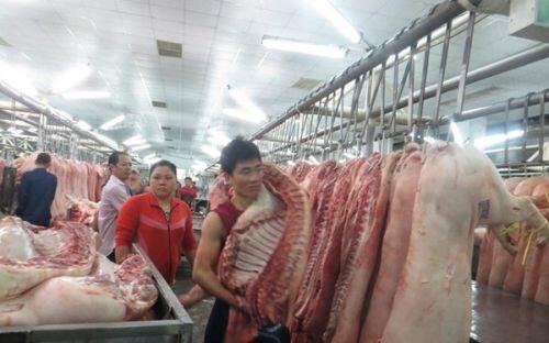 Liệu thịt lợn có tiếp tục lên “cơn sốt” giá?