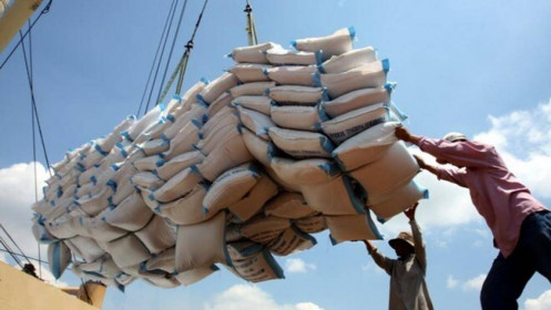182 thương nhân được cấp chứng nhận đủ điều kiện kinh doanh xuất khẩu gạo