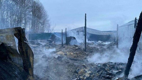 Nga: 8 nạn nhân trong vụ cháy nhà kính trồng rau là công dân Việt Nam
