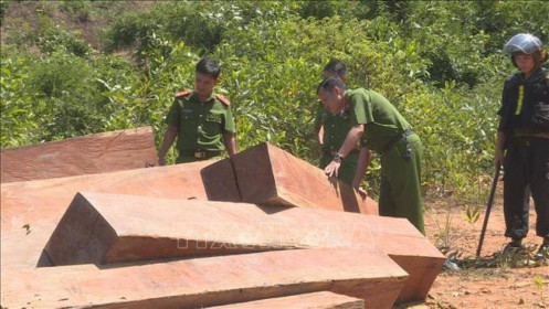Bắt tạm giam 4 cán bộ liên quan vụ phá rừng quy mô lớn ở huyện Ea Kar, Đắk Lắk