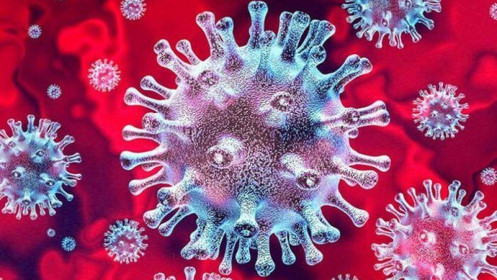 Thụy Sỹ phát triển thử nghiệm để phát hiện chủng virus corona mới  ​