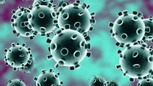 Trung Quốc bắt tay phát triển vaccine chống chủng virus corona mới
