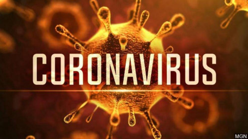 Tại sao WHO chưa xác định CoronaVirus là tình trạng khẩn cấp toàn cầu?