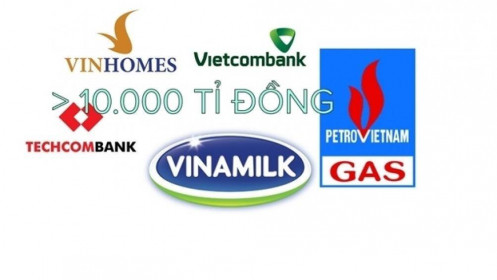 Vinhomes, Vietcombank, PV GAS, Techcombank và Vinamilk: 5 doanh nghiệp có lãi sau thuế trên 10.000 tỷ đồng