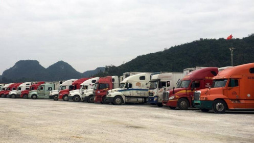 Nông sản Việt “gặp hạn” vì dịch viêm phổi corona: Tăng cường chế biến, lưu kho