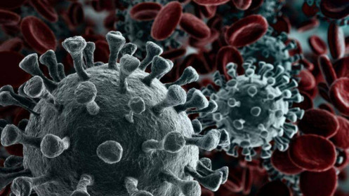 Moody's: Coronavirus thực sự là mối đe dọa kinh tế toàn cầu