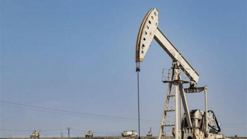 OPEC hạ dự báo nhu cầu dầu mỏ toàn cầu năm 2020