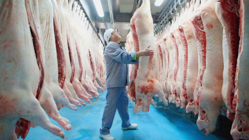 Đề nghị các doanh nghiệp chăn nuôi giảm giá lợn xuống dưới 75.000 đồng/kg