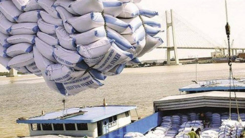 Triển vọng tích cực cho xuất khẩu gạo trong 2020