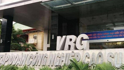 Tập đoàn Cao su Việt Nam (GVR), ẩn số từ hoạt động tái cơ cấu
