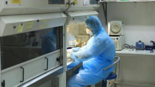 Việt Nam chuẩn bị tự sản xuất bộ sinh phẩm xét nghiệm Covid-19