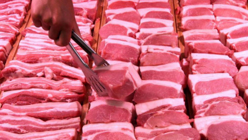 Giá thịt lợn miền Bắc tăng ngược trở lại