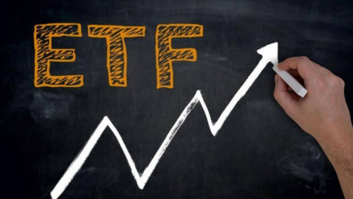 Review 2 quỹ  FTSE ETF và VNM ETF