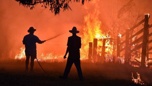 Phiên giao dịch ngày 12/3: Đám cháy ngày càng to