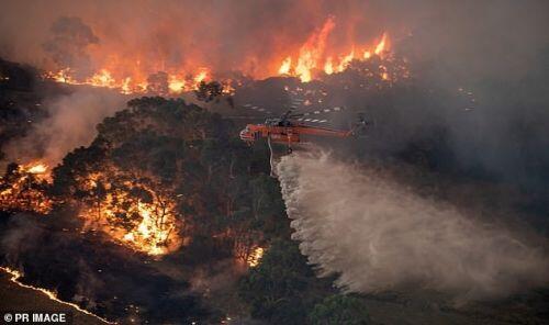 Australia bắt nghi phạm họ Truong phóng hỏa gây cháy rừng